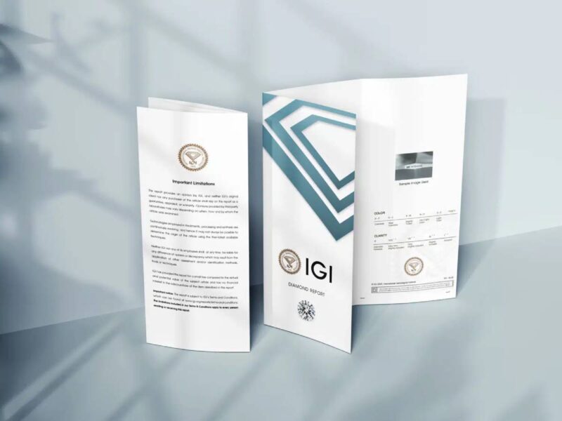 IGI Prepares for IPO on Indian Stock Exchanges igi 1